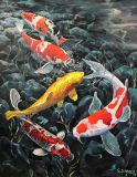 Koi, 80X100cm