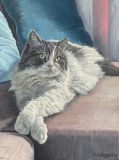 Rose Katze, 40x30cm.jpg